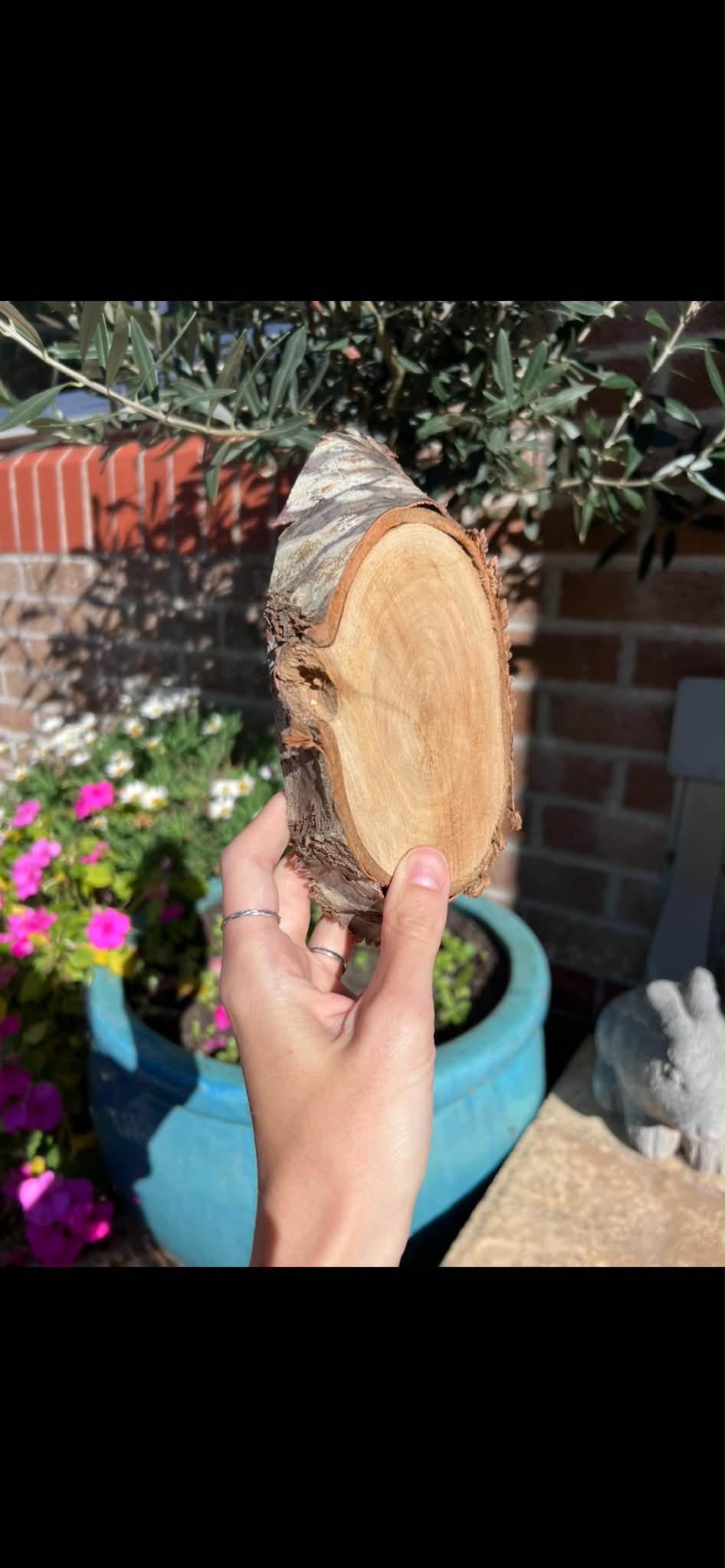 Custom Listing for Neet