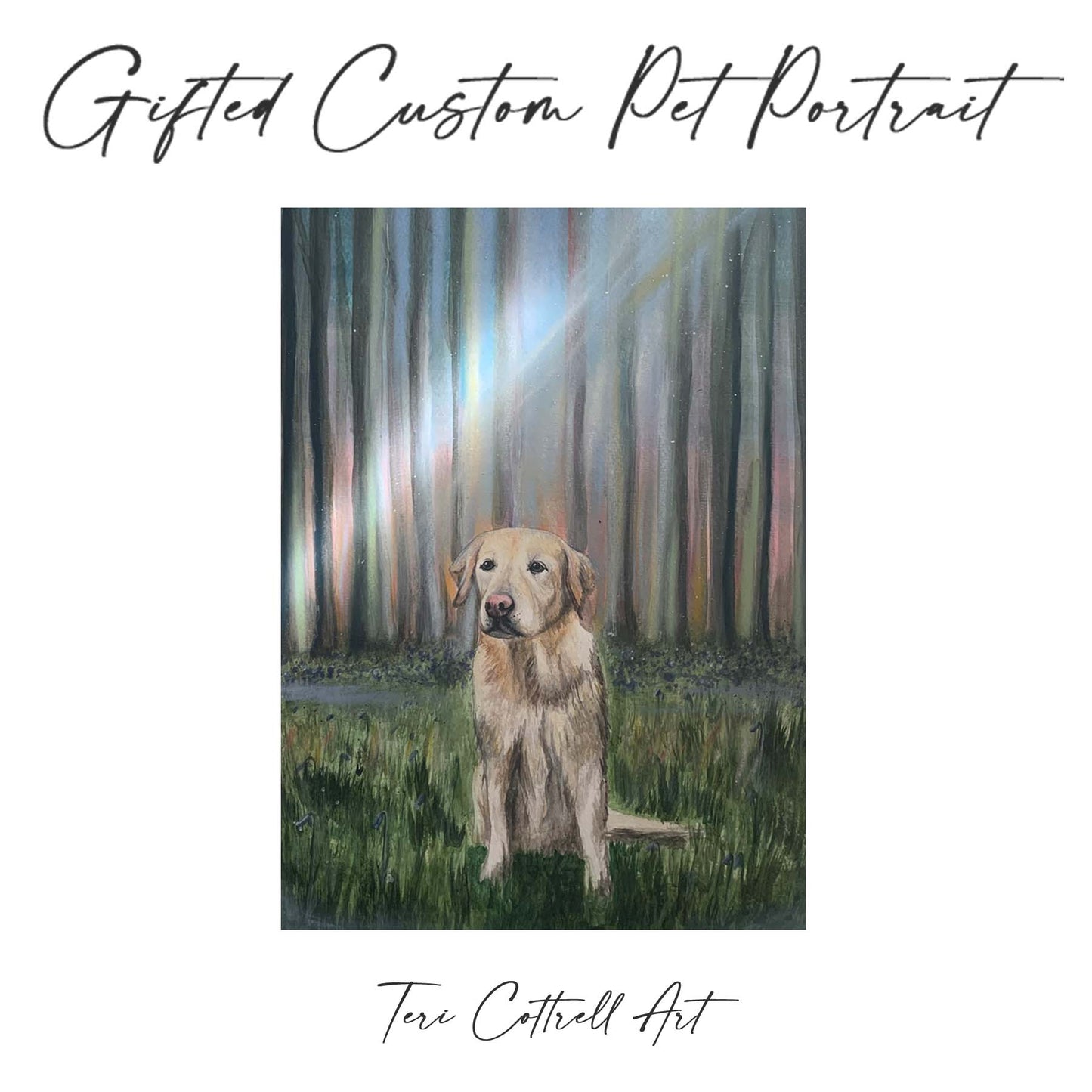 New Pet Portrait Gift Box