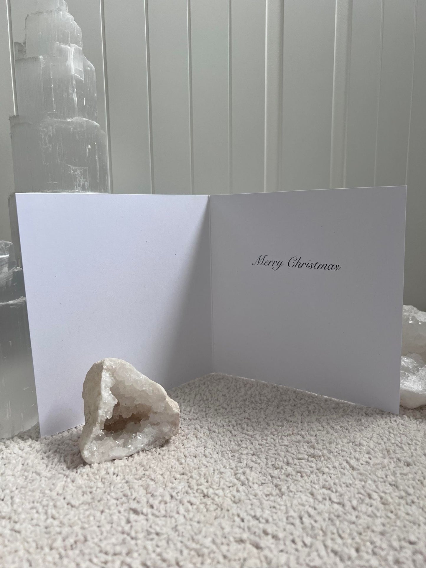 Christmas Horse & Robin Card