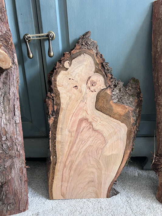 Custom Listing for Joanne