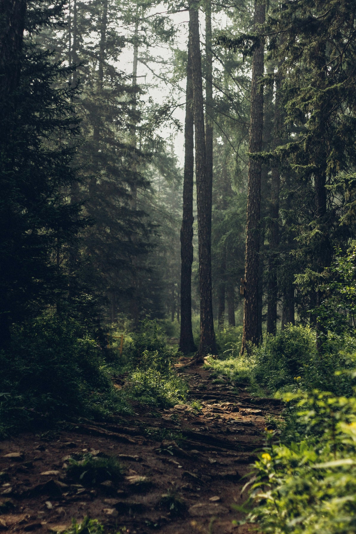 Custom Listing for hand.mademysticrafts